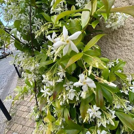 公寓 Lumineux A Chartrons / Jardin Public 波尔多