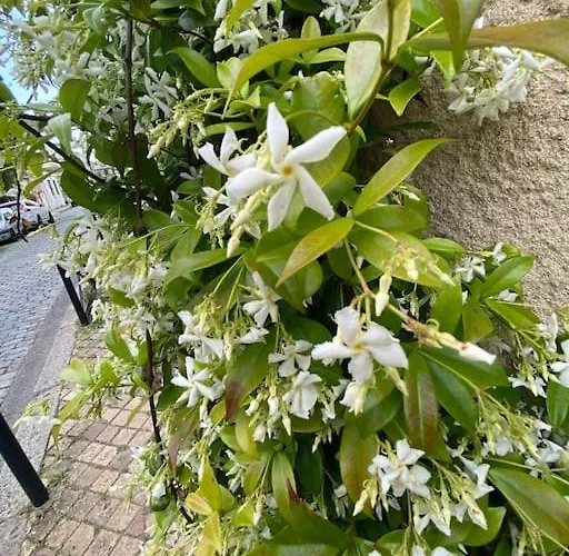 公寓 Lumineux A Chartrons / Jardin Public 波尔多